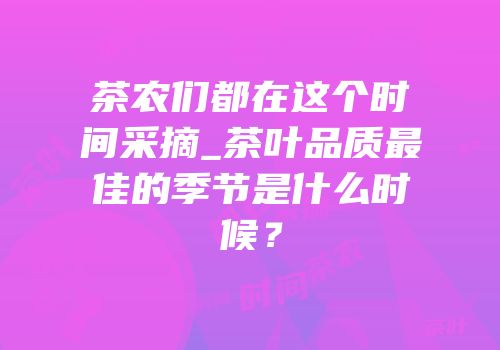 茶农们都在这个时间采摘_茶叶品质最佳的季节是什么时候？