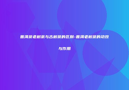 普洱茶老树茶与古树茶的区别-普洱老树茶的功效与作用