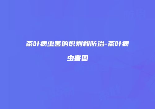 茶叶病虫害的识别和防治-茶叶病虫害图