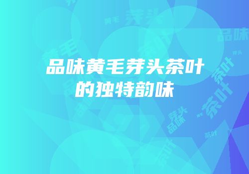 品味黄毛芽头茶叶的独特韵味
