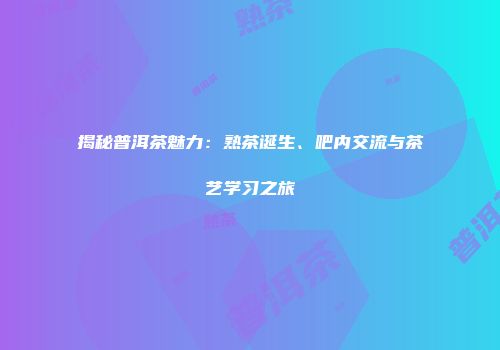 揭秘普洱茶魅力：熟茶诞生、吧内交流与茶艺学习之旅