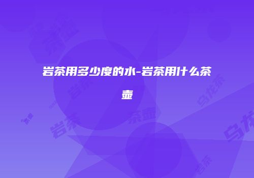 岩茶用多少度的水-岩茶用什么茶壶