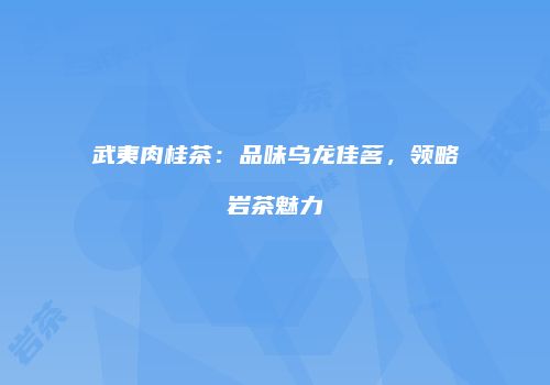 武夷肉桂茶：品味乌龙佳茗，领略岩茶魅力