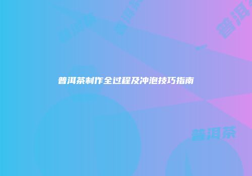 普洱茶制作全过程及冲泡技巧指南