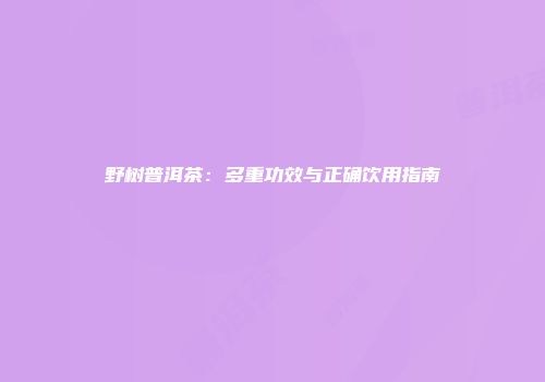 野树普洱茶：多重功效与正确饮用指南