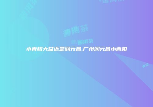 小青柑大益还是润元昌,广州润元昌小青柑