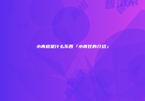 小青柑是什么东西「小青甘的介绍」
