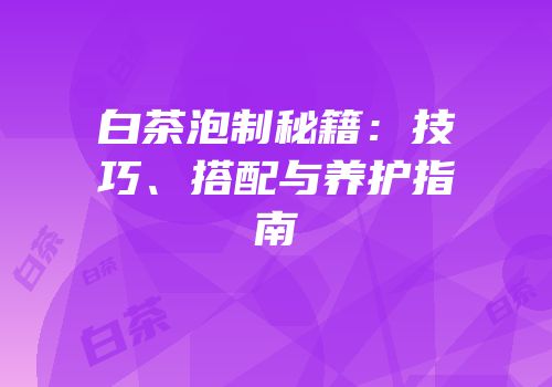 白茶泡制秘籍：技巧、搭配与养护指南