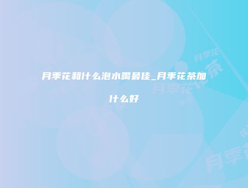 月季花和什么泡水喝最佳_月季花茶加什么好