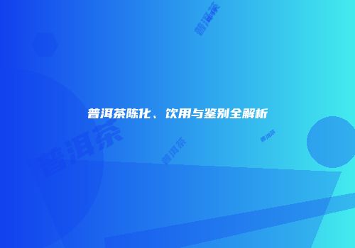 普洱茶陈化、饮用与鉴别全解析