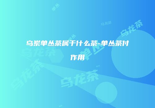 乌岽单丛茶属于什么茶-单丛茶付作用