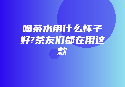 喝茶水用什么杯子好?茶友们都在用这款