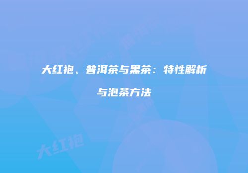 大红袍、普洱茶与黑茶：特性解析与泡茶方法