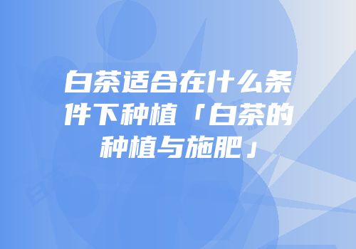 白茶适合在什么条件下种植「白茶的种植与施肥」