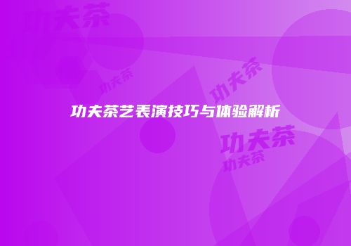 功夫茶艺表演技巧与体验解析