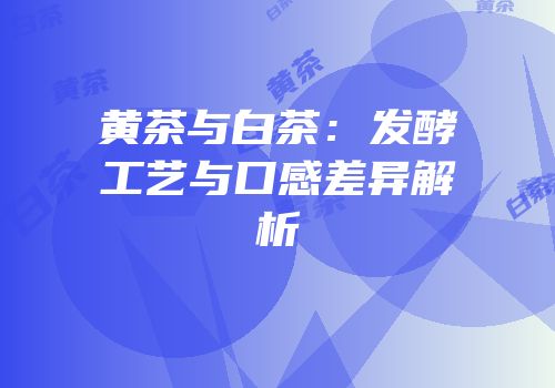 黄茶与白茶：发酵工艺与口感差异解析