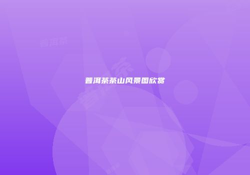 普洱茶茶山风景图欣赏