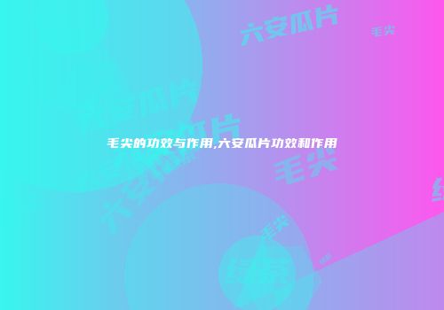 毛尖的功效与作用,六安瓜片功效和作用