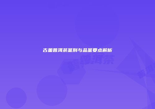 古董普洱茶鉴别与品鉴要点解析