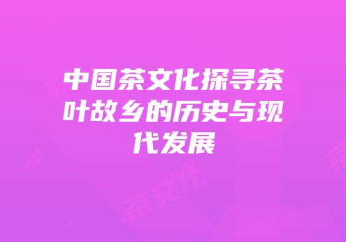 中国茶文化探寻茶叶故乡的历史与现代发展
