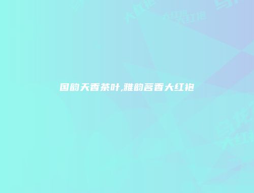 国韵天香茶叶,雅韵茗香大红袍