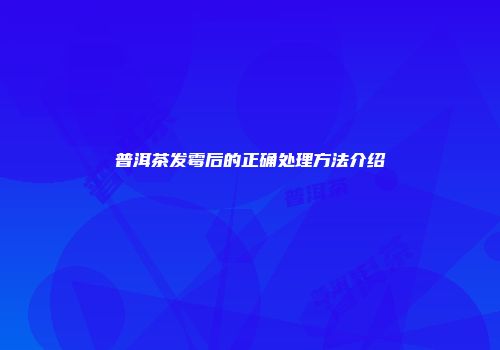 普洱茶发霉后的正确处理方法介绍