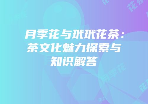 月季花与玳玳花茶：茶文化魅力探索与知识解答