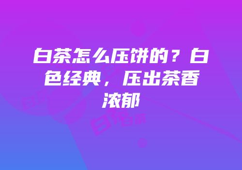 白茶怎么压饼的？白色经典，压出茶香浓郁