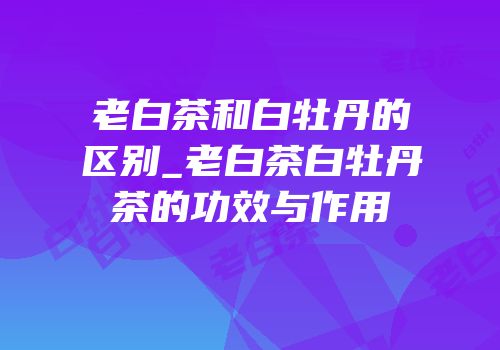 老白茶和白牡丹的区别_老白茶白牡丹茶的功效与作用