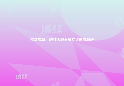 红茶探秘：晒红古树与滇红之异同解析