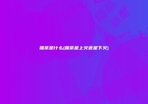 擂茶是什么(擂茶是上火还是下火)
