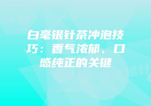 白毫银针茶冲泡技巧：香气浓郁、口感纯正的关键