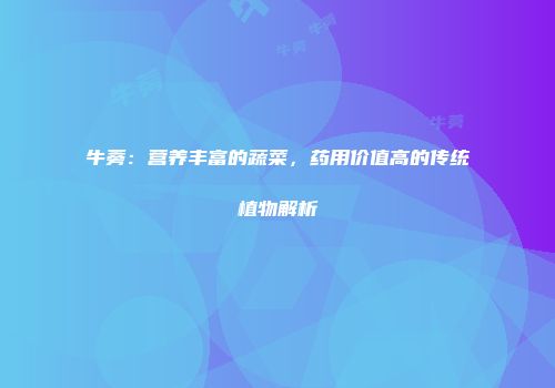 牛蒡：营养丰富的蔬菜，药用价值高的传统植物解析