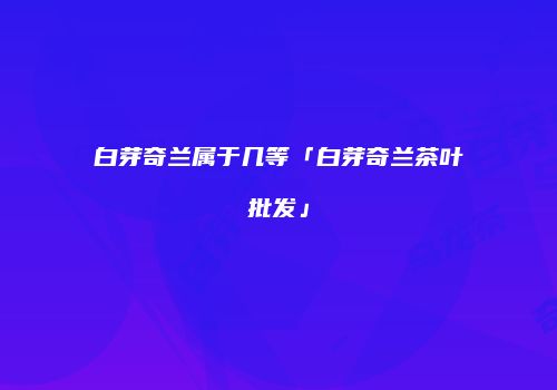 白芽奇兰属于几等「白芽奇兰茶叶批发」