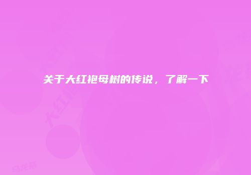 关于大红袍母树的传说，了解一下
