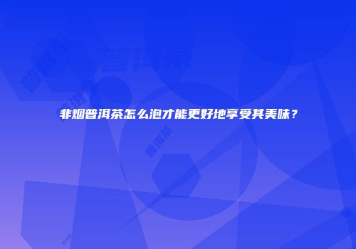 非烟普洱茶怎么泡才能更好地享受其美味？