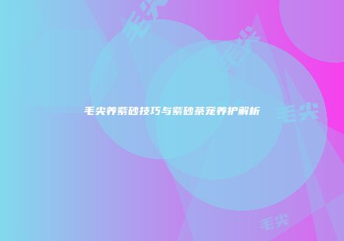 毛尖养紫砂技巧与紫砂茶宠养护解析