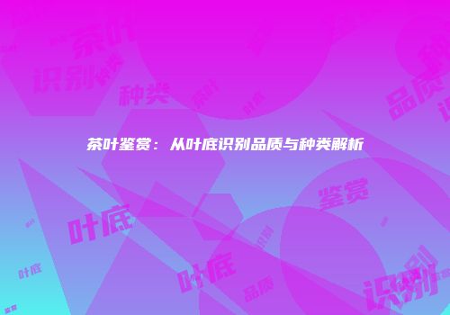 茶叶鉴赏：从叶底识别品质与种类解析