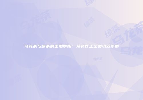 乌龙茶与绿茶的区别解析：从制作工艺到功效作用