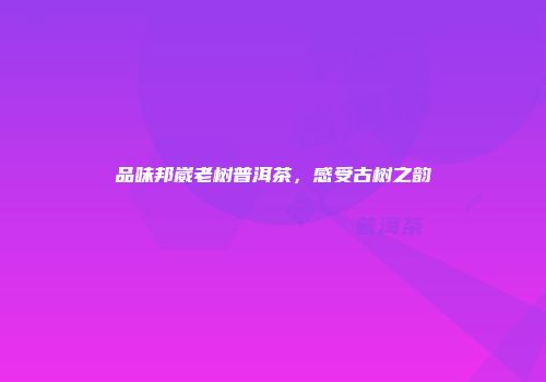 品味邦崴老树普洱茶，感受古树之韵