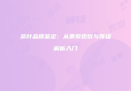 茶叶品质鉴定：从条索观察与等级解析入门