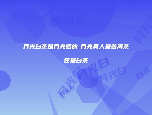 月光白茶是月光晒的-月光美人是普洱茶还是白茶