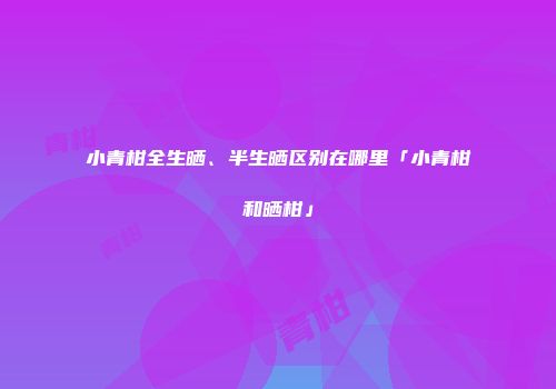 小青柑全生晒、半生晒区别在哪里「小青柑和晒柑」