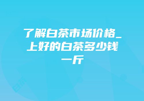 了解白茶市场价格_上好的白茶多少钱一斤