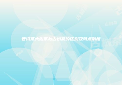 普洱茶大树茶与古树茶的区别及特点解析