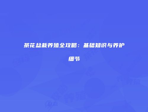 茶花盆栽养殖全攻略：基础知识与养护细节