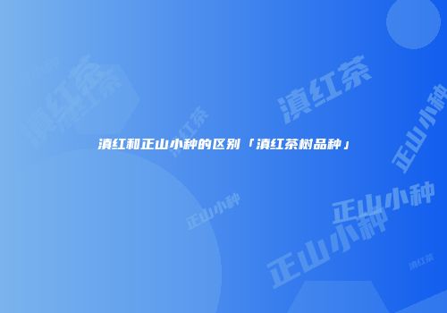 滇红和正山小种的区别「滇红茶树品种」