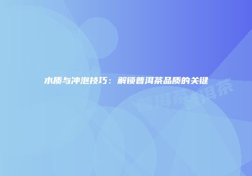 水质与冲泡技巧：解锁普洱茶品质的关键