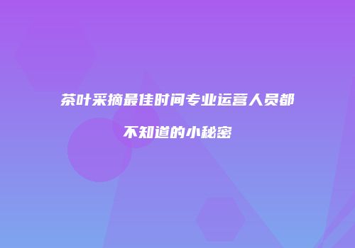 茶叶采摘最佳时间专业运营人员都不知道的小秘密