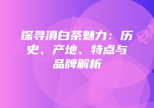 探寻滇白茶魅力：历史、产地、特点与品牌解析